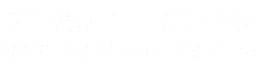 Steam Cleaning Mobilna Myjnia Parowa logo